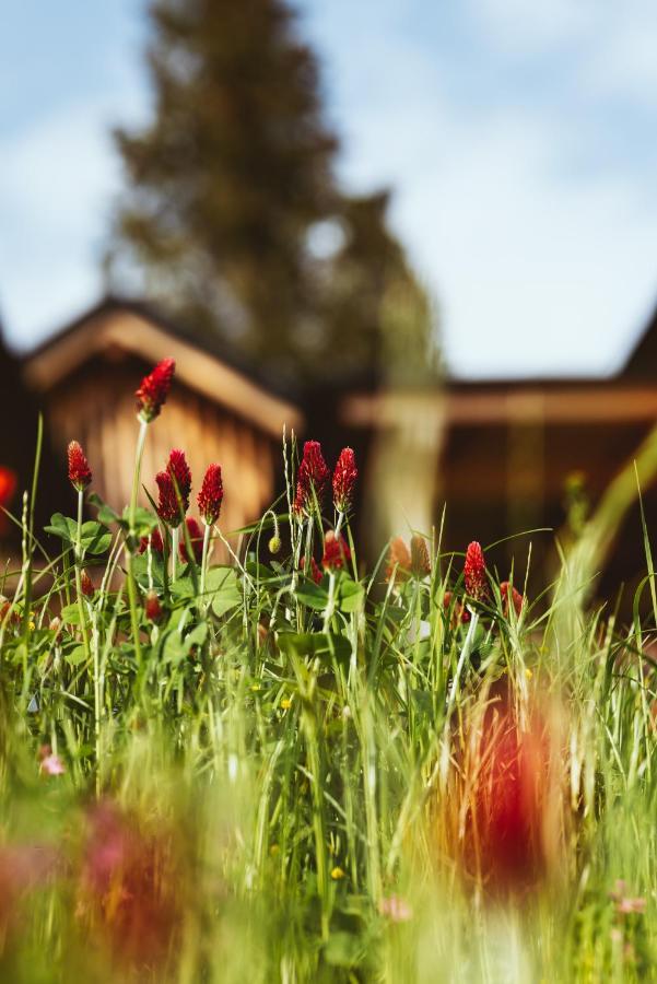 Montestyria Chalets&Suiten Mariazell Exterior foto